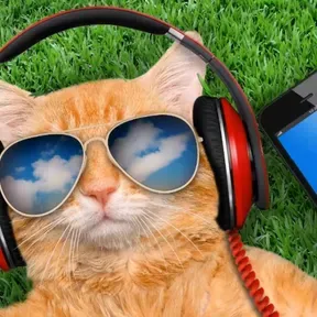 Web Rádio Comunidade Café