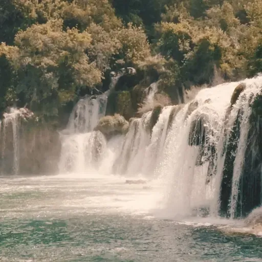 Deep Forest Waterfall and River Ambience