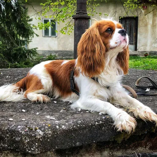 👫 ... Vzgoja ali vzgajati glede na osebnost 🌀