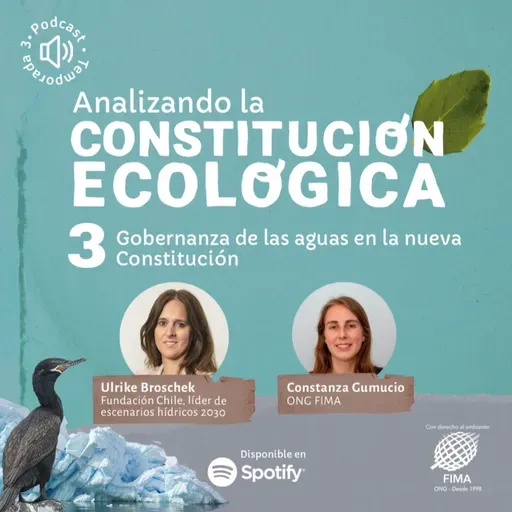 Gobernanza de las aguas en la nueva Constitución