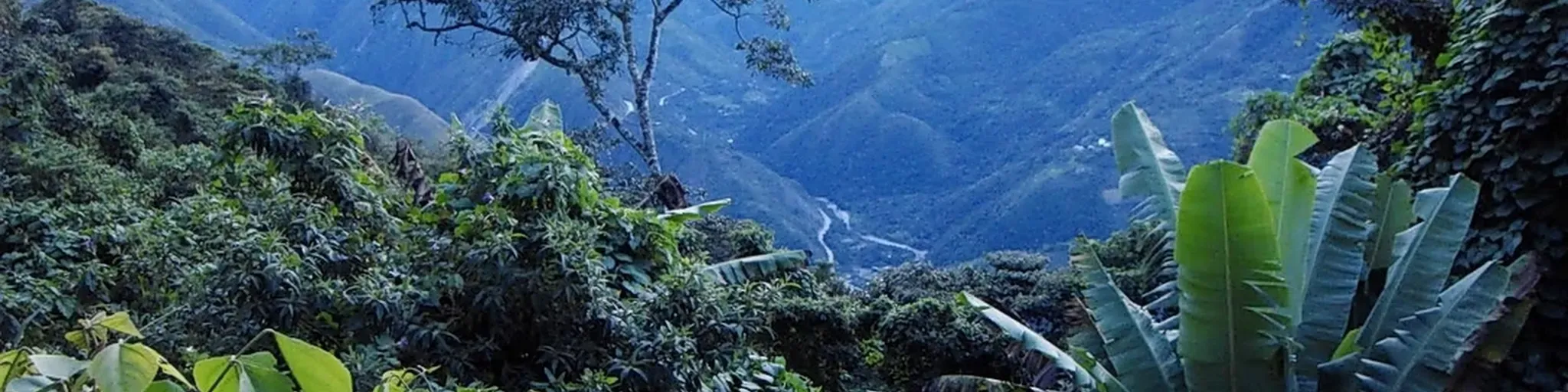 Radio  Nueva Vida en Cristo FM-Yungas