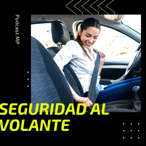 Seguridad al volante