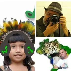 Notícias da Amazônia e do Brasil ao vivo