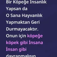 Köpeğe İnsan Muamelesi Yapılır mı?