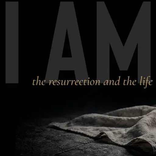 I AM: The Resurrection And The Life (Ray Booysen)