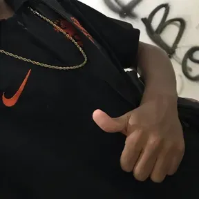 Netosilva
