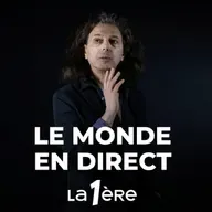 "Nous entrons dans l'ère de l'indistinction généralisée. Nous ne saurons ni quel est l'origine, ni quel est la nature d'une image"