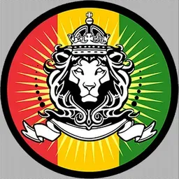Dub from the Sky - Telegram - dub_roots