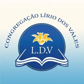 RADIO ONLINE LDV