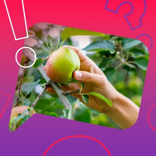 Sind Äpfel eigentlich Blumen?