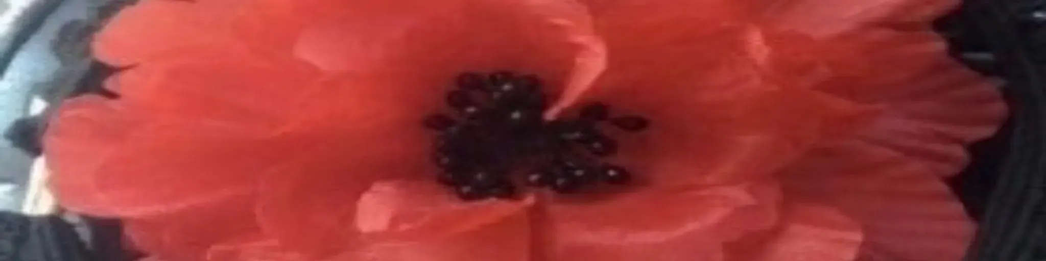 Various Style Writings Elizabeth Vitale Radio