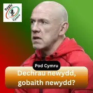 Dechrau newydd, gobaith newydd?