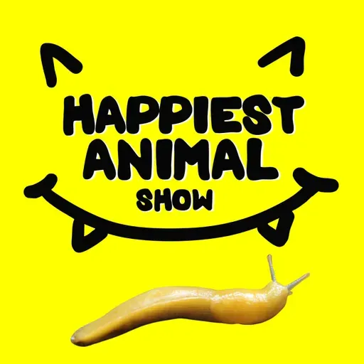 Slimy Animals (with 14 year old Skye)