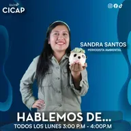 🍃HABLEMOS DE... TEMA " Manglares y dentro de 15 Micro plásticos'' ♻️