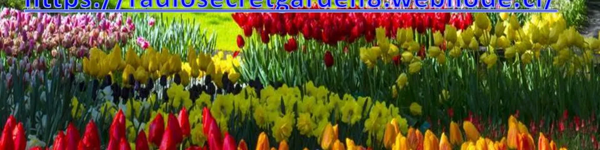 Radio_SecretGarden