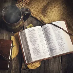 Remnant Ministries - The Audio Old Testament