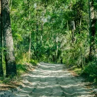 Guiding Lost Souls: The Story of Harry and His Siblings. S17. Ep4.