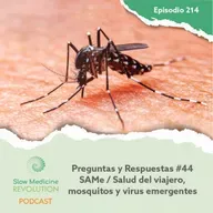 214 - P&R48 - SAMe y metilación / Salud del viajero, mosquitos y virus emergentes - Episodio exclusivo para mecenas