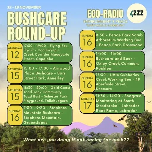 Wilderness Society & CROC