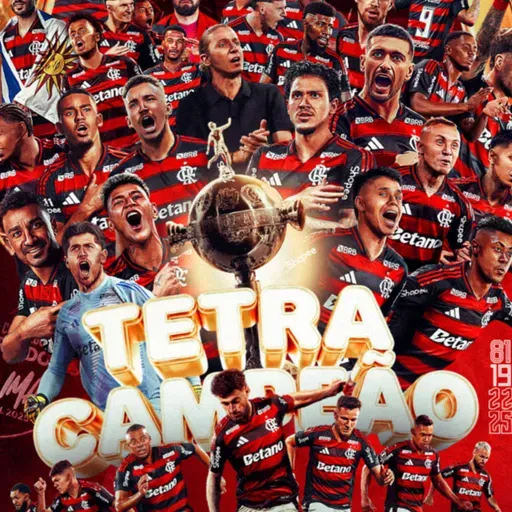 Palmeiras 0 x 1 Flamengo, final da libertadores