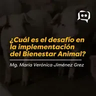 ¿Cuál es el desafío en la implementación del Bienestar Animal?