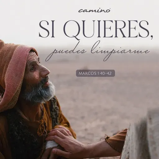 Oración 19 de mayo (Si quieres, puedes limpiarme)