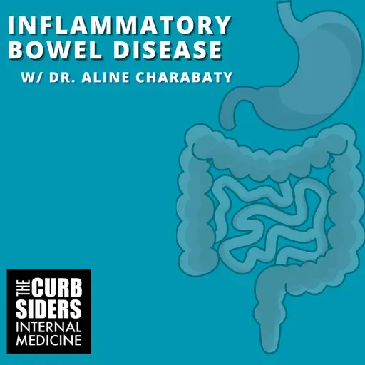 #502 Inflammatory Bowel Disease with Dr. Aline Charabaty