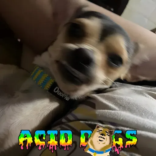 Acid Dogs 001