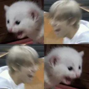 Hulahalu