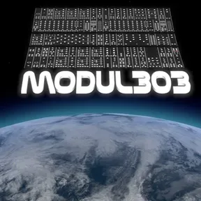 Modul303