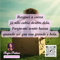 🕊️ Nonô Lê – Versos do Blogue | Episódio 3 📖 Poema: “Rasguei a Caixa”