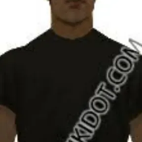 METALEIRO