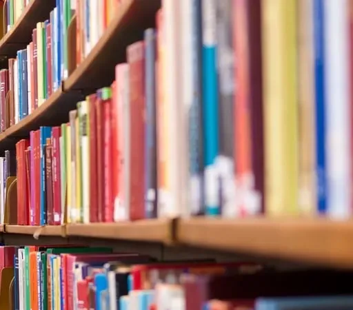 AI is scraping the work of established authors and regurgitating it.