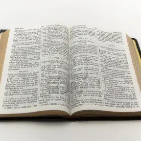 Misalia