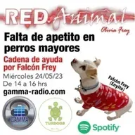 RED ANIMAL CON OLIVIA FREY/FALTA DE APETITO EN PERROS MAYORES