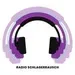 Radio Schlagerrausch