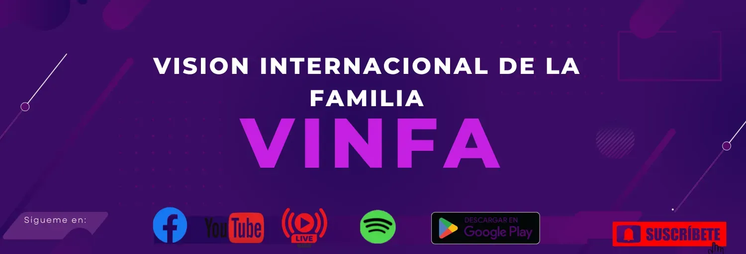 vinfachile