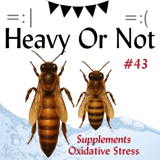 Flooding Emotions, Queen and Worker Bees, Enhanced Games and Supplementing Your Income with Feel Good, Natural Supplements