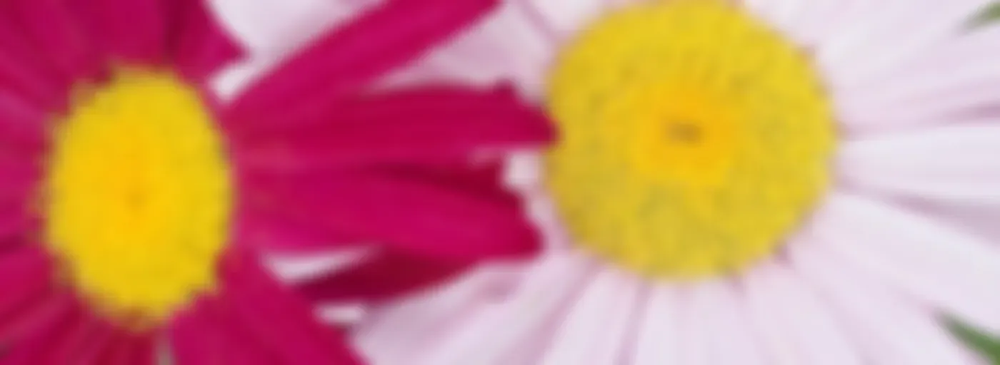 تغرودات  صباحية