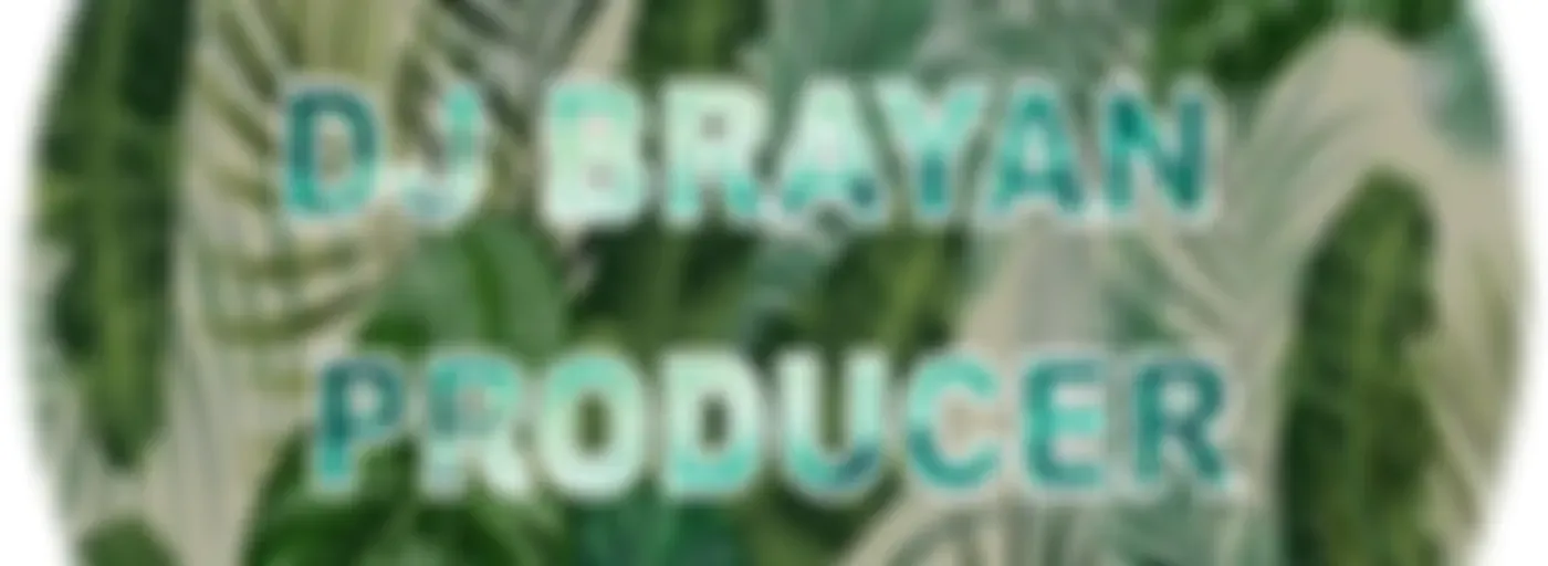 Sección Electrónica