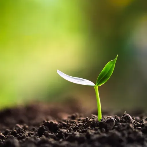 １６日目 「異性なんて大嫌い」って言ってみたら、心が軽くなった。嫌いって思うその奥にある本当の声。 from Radiotalk