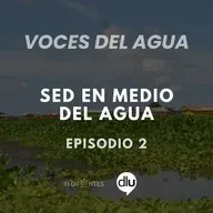 Episodio 2: Sed en medio del agua