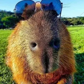 LOS PIBES DEL FONDO