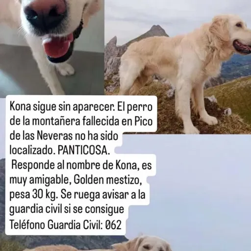 Se busca a Kona, el perro de la montañera navarra que falleció en Panticosa