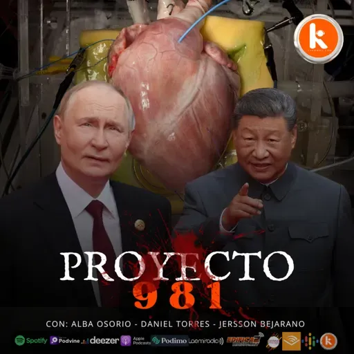 Proyecto 981