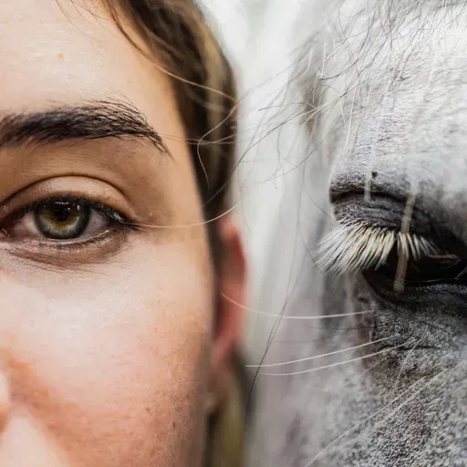 ReWilding our Horses, Rewilding our Souls with Kelly Wendorf of the EQUUS
