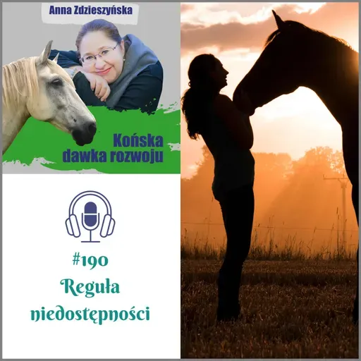 #190 Reguła niedostępności