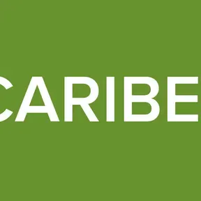 RADIO CARIBE 95 1 FM
