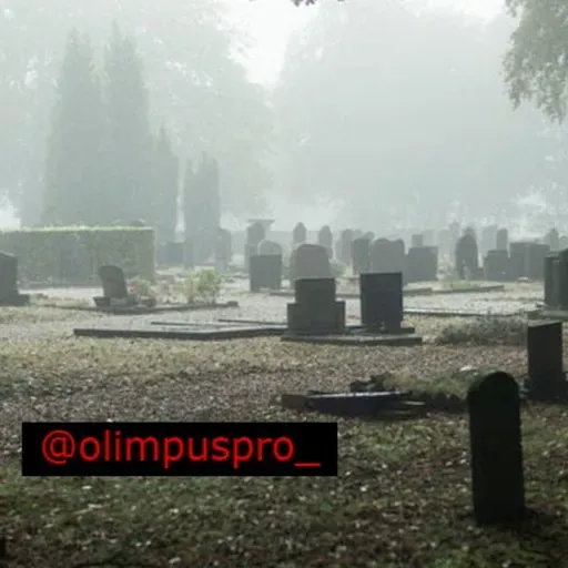 3 historias de terror (especial halloween)