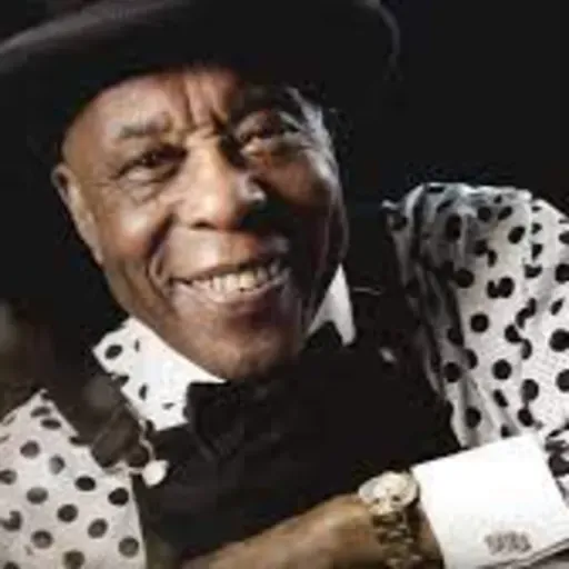 T4 E4. Buddy Guy. Guitarrista de Blues